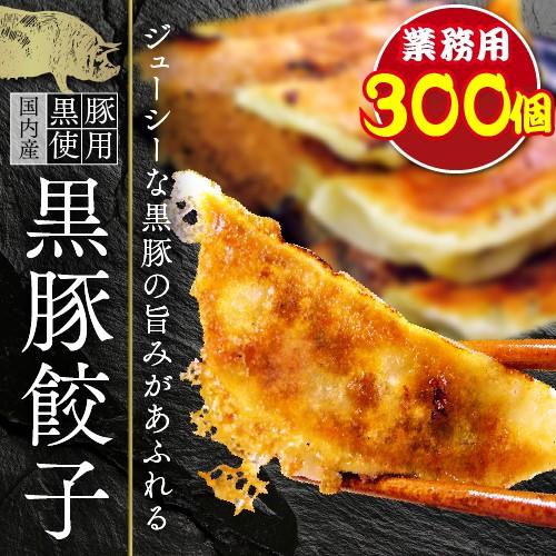 餃子 取り寄せ 送料無料 業務用 冷凍 生餃子 ぎょうざ ギョーザ 国産素材 時短 お手軽 簡単 大容量 餃子計画 業務用餃子300個入り 黒豚餃子