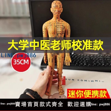 【便宜有好貨】針灸人體模型真人穴位經絡全身圖小皮人模特十二小銅人中醫人形