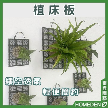 【隔日到貨】植床板 植生板 植床 植板 鹿角蕨上板 鹿角蕨板 上板 蕨類 苗床 蕨類上板神器【HOMEDEN霍登園藝】