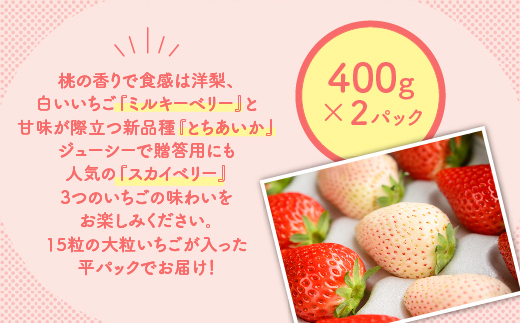 満足3種食べ比べセット（ミルキーベリー、スカイベリー、とちあいか）400g×2パック　800g ※2024年2月下旬～5月下旬頃に順次発送予定 ※着日指定不可