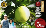 秋田県鹿角産りんご「王林」家庭用 約5kg（16玉前後）●2023年11月中旬発送開始　りんご リンゴ 林檎 秋田県産 鹿角りんご 訳あり 品質 こだわり 糖度 旬 農家直送 産地直送 5kg