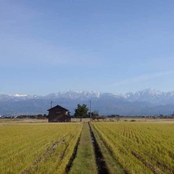 [富山米 令和5年産] 無洗米 富山県産 富富富 10kg (5kg×2袋) ピロータイプ平袋入 日本全国銘米シリーズ 白米 お米 おいしい ふふふ 堀商店 ギフト対応 送料無料