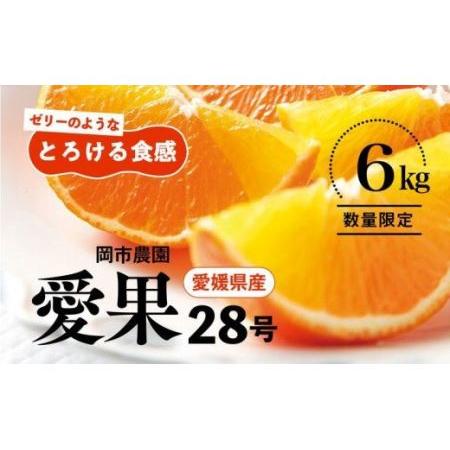 ふるさと納税 ＼農園直送／愛媛県産 愛果28号 3kg×2箱 限定50箱◆ ※2023年12月中旬頃〜2024年1月中旬頃に順次発送.. 愛媛県伊方町