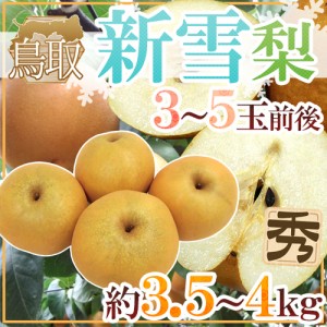 鳥取県 ”新雪梨” 秀品 3～5玉前後 約3.5～4kg 送料無料