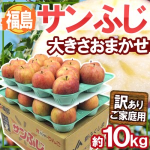 福島産 ”蜜入りサンふじ” 訳あり 大きさおまかせ 約10kg 送料無料