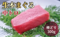  生本マグロ 中トロ 250g（柵どり）