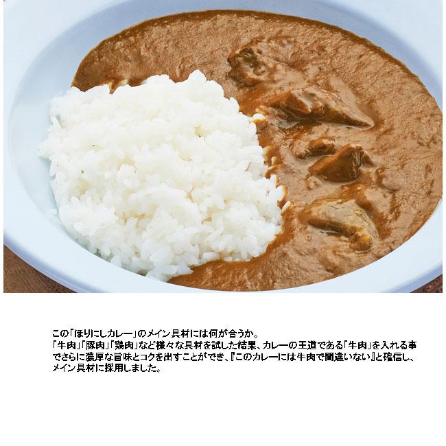 アウトドアスパイス ほりにしカレー 辛口 レトルトカレー アウトドア キャンプ