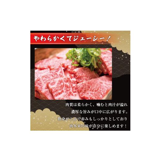 ふるさと納税 福岡県 添田町 博多和牛焼肉用 500g [a0080] 株式会社Meat Plus ※配送不可：離島添田町 ふるさと納税