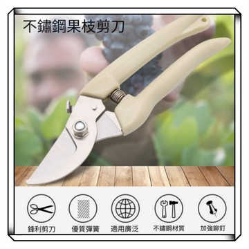 【現貨】樹枝剪 剪刀 高枝剪 果樹剪 花枝剪刀 粗枝剪刀 修枝剪 花剪 鳥嘴剪 採果剪刀 農用剪 摘果剪 修剪花樹