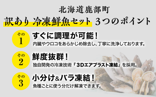 北海道産 冷凍鮮魚セット 最大3.2kg 「漁師応援プロジェクト！」 下処理済み 冷凍 鮮魚 海鮮 海産 地元