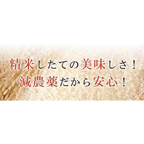 特別栽培米 減農薬コシヒカリ 5kg (玄米)