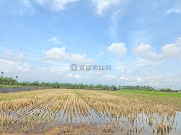 近萬丹88交流道/新庄國小/方正漂亮農地｜屏東縣新園鄉新利段