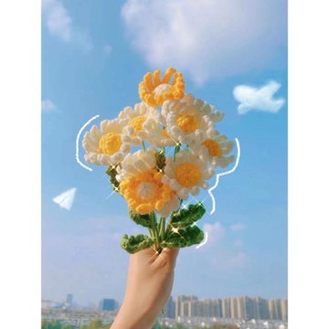 手工編織小雛菊花朵花束diy鉤織郁金香材料包毛線自制玫瑰花禮物