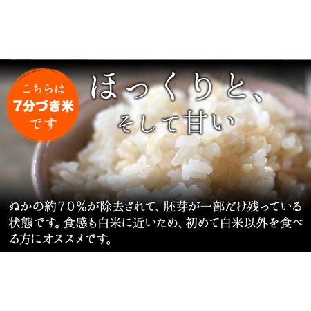 ふるさと納税 令和5年産 小さな竹美人 7分づき 米 4kg(2kg×2袋) 株式会社コモリファーム《お申込み月の翌月から出荷開始》 福岡県小竹町