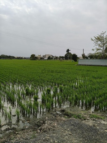 夏田產業園區重劃正環河路上現階段可利用農地｜台中市大里區夏田東段