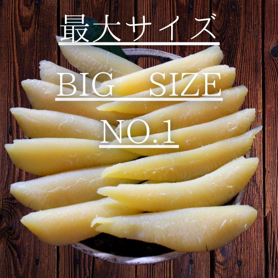 天然 塩数の子 アラスカ産 特大サイズ 1kg 送料無料 1本物 本ちゃん かずのこ カズノコ 大きい 最大級