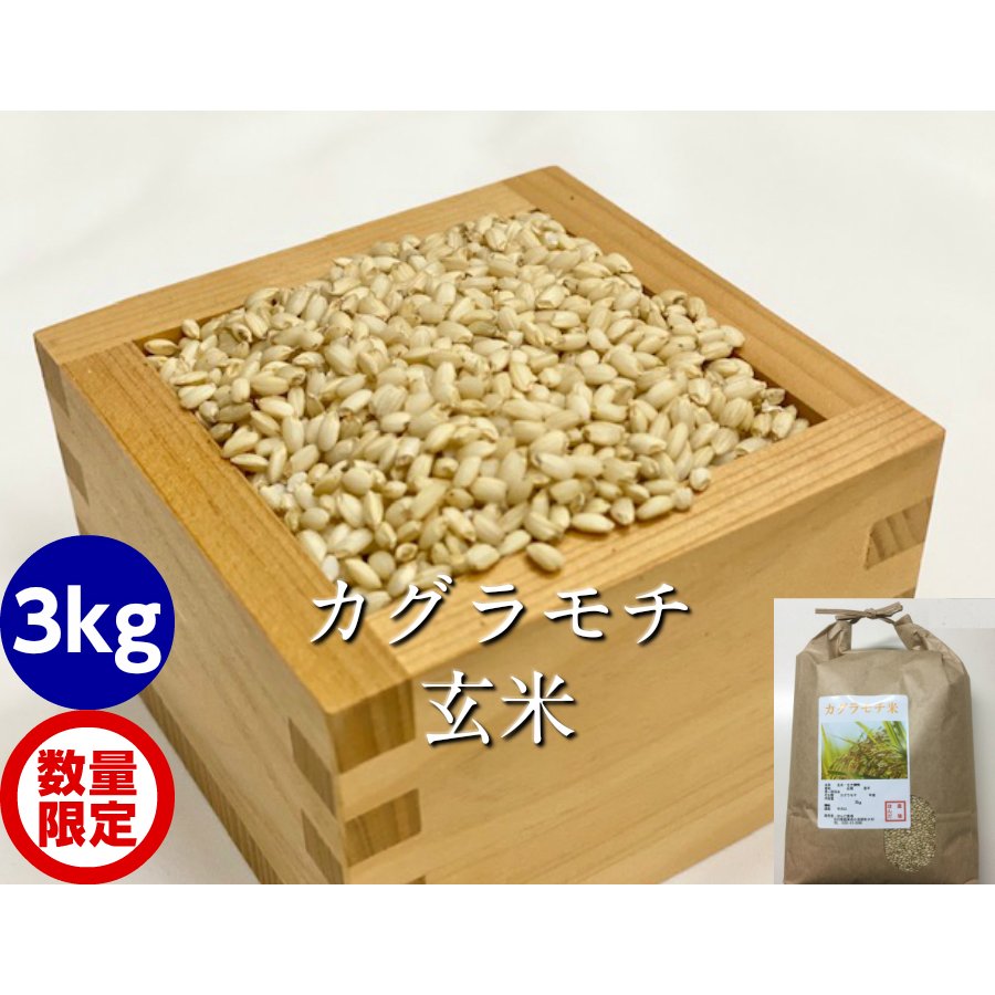 令和5年産 新米 カグラモチ 玄米 3kg