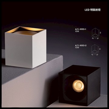 LED遙控調光調色吸頂燈 A21-1053