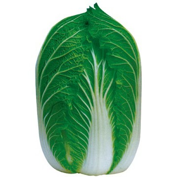 【拈花微笑】將軍白菜｜種子｜2g｜非基因改造種子｜蔬菜｜蔬果｜有機無毒｜高發芽率