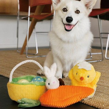 【狗狗玩具 蹦蹦復活節 3件組】寵物  啾啾聲 抗憂解壓