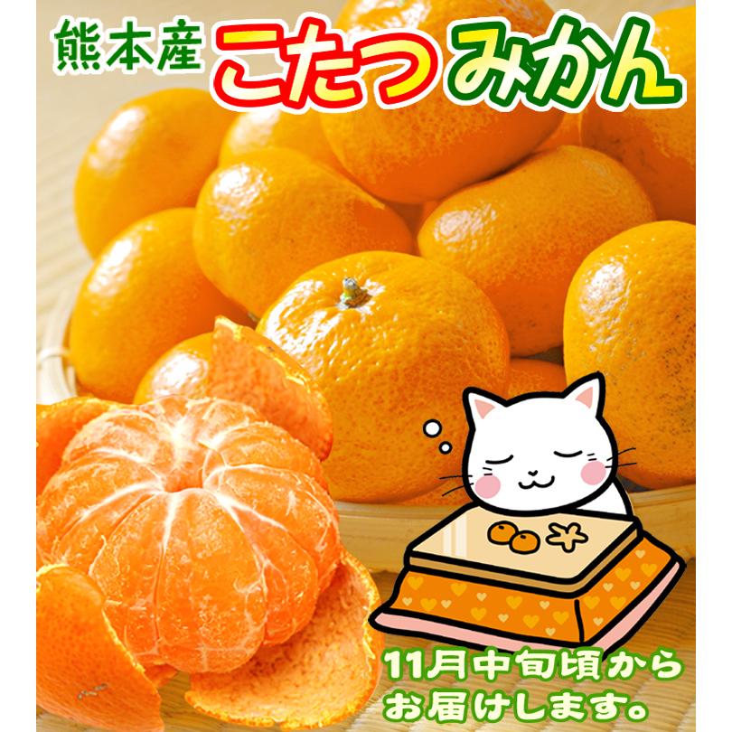 みかん 10kg 熊本産 こたつみかん ご家庭用 送料無料 食品