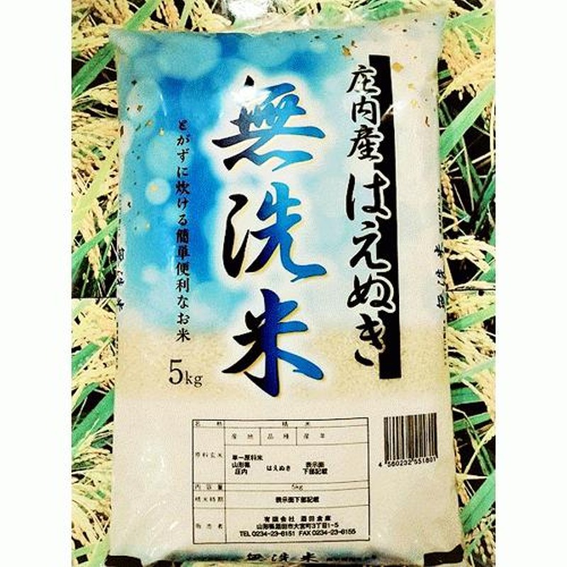 はえぬき　コメ　新米　山形県庄内産　無洗米　お米　LINEショッピング　５kg　令和5年産