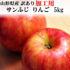 予約販売 加工用 訳あり りんご サンふじ 5kg 送料無料 山形県産 お買い得 ジュース用 [加工用りんご５キロ]