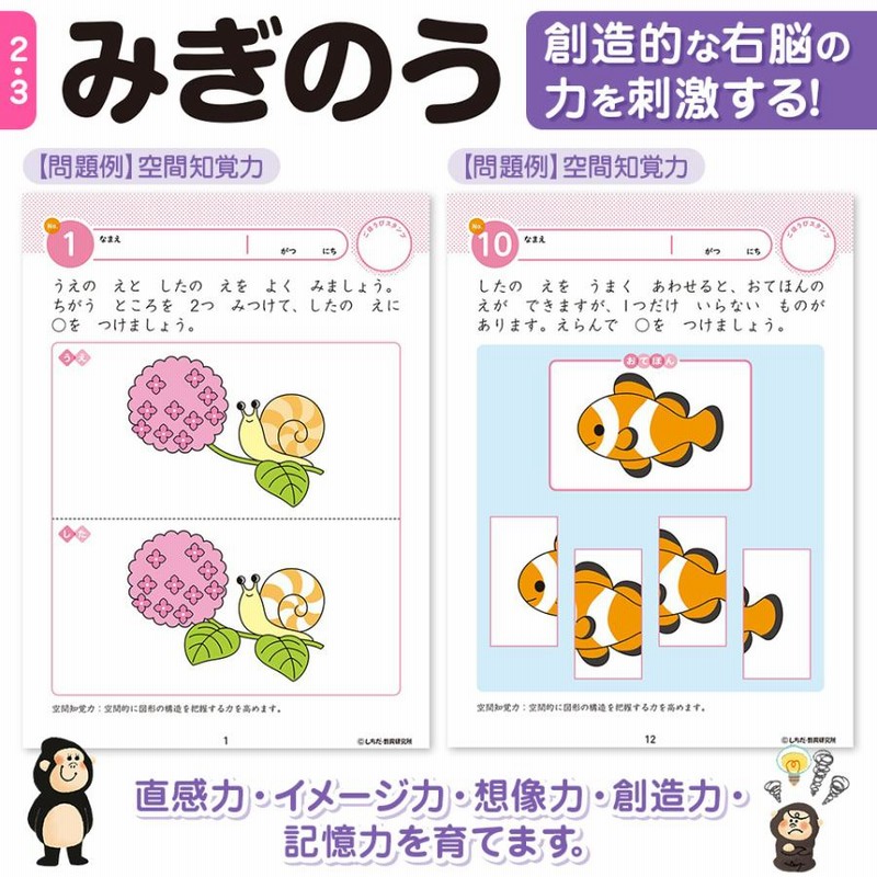 幼児 ドリル 七田式 知力ドリル 2歳 3歳 10冊セット 子供 幼児