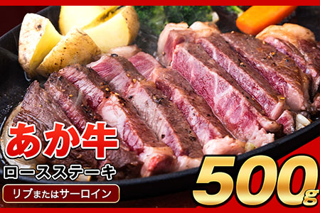 あか牛（褐毛和種）ロースステーキ (リブまたはサーロイン) 250g×2 500g 熊本県産 肉 和牛 牛肉 赤牛 あかうし リブロース サーロイン 冷凍《60日以内に順次出荷(土日祝除く)》