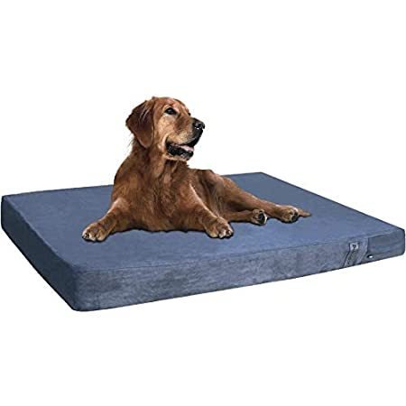 Dogbed4less orthopedic shredded hotsell memory foam dog bed