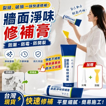 免運 牆面修補膏 送刮板 裂縫修補 牆壁修補 補牆 牆壁修補膏 補牆膏 補土膏 補牆漆 填縫劑 補縫劑 防水補牆膏 批土