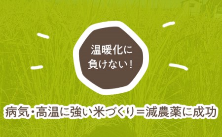 新米精米5kg 南魚沼産ぴかまる・国際総合部門金賞受賞_AG