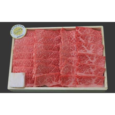 ふるさと納税 神戸牛 焼肉 食べ比べ 2種 1kg 肩 モモ 500g×2 Bセット 焼肉セット 焼き肉 牛肉 和牛 焼肉用 キャンプ BBQ アウトドア バーベ.. 兵庫県加西市