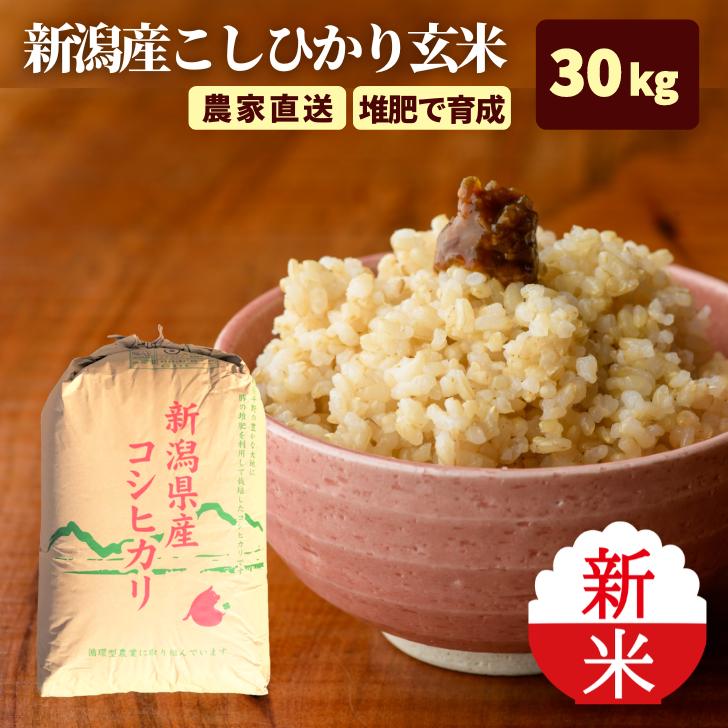 新米 5年産 米 新潟 コシヒカリ 玄米 30kg コシヒカリ 通販 こしひかり 玄米 30kg 減農薬 農家 直送 生産者 コシヒカリ 新潟県産 精米サービス