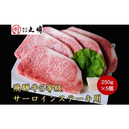 ふるさと納税 飛騨牛5等級　サーロインステーキ用　約250g×5枚 岐阜県養老町