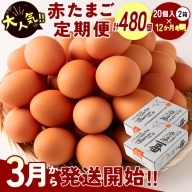 ＜児湯養鶏自慢の卵＞ネッカリッチ赤たまご「児湯一番」 計480個 （20個入×2箱）×12か月定期便