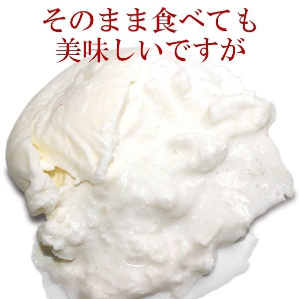 5パックセット モッツァレラ ブッラータ 100g×5パック イタリア産 冷凍 チーズ ブラータ 送料無料