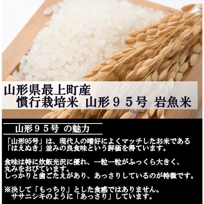 慣行栽培米 山形95号　岩魚米 （令和5年産）白米 5kg