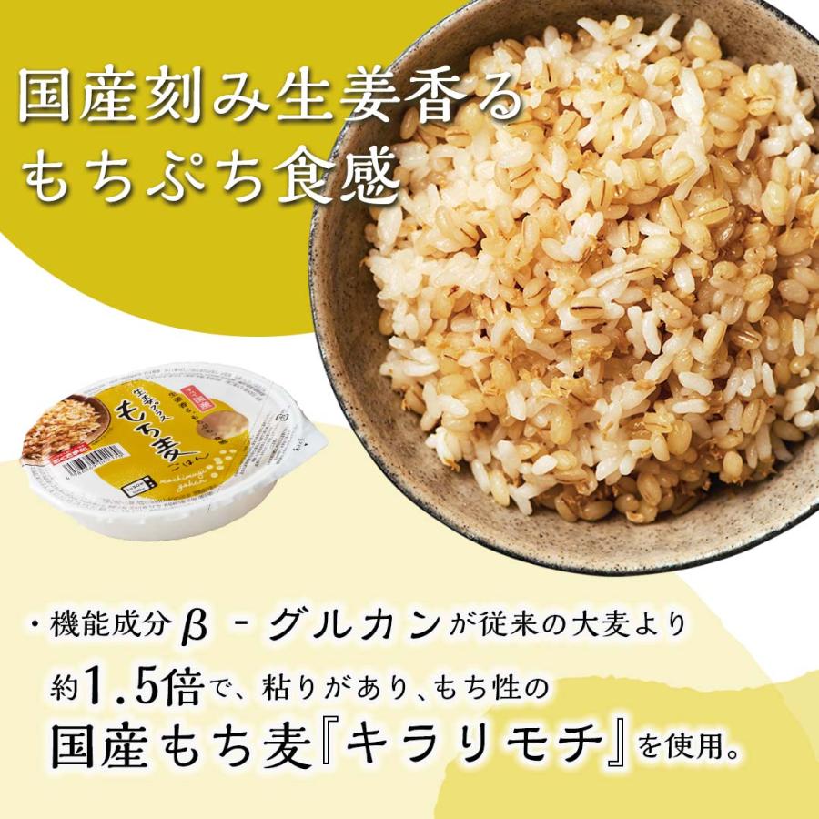 パックご飯 ご飯パック レトルトご飯 雑穀米 玄米 もち麦 4種48個 160g ごはん ご飯 玄米 パック 玄米パックご飯 安い レトルト 発芽玄米 非常食 レンチンご飯