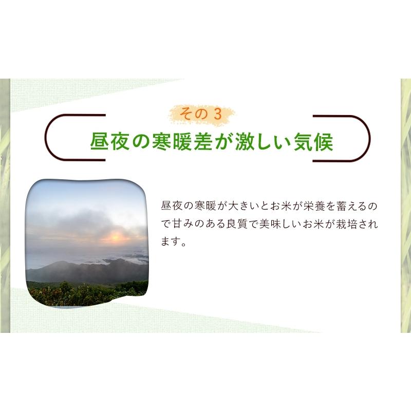 いちほまれ 5kg 令和5年福井県産 新米入荷 送料無料 福井県の新しいブランド米