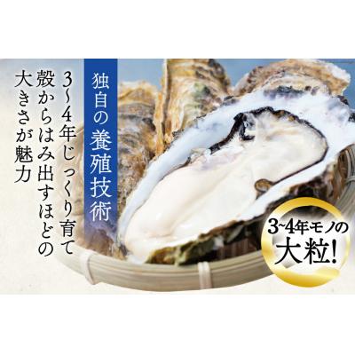 ふるさと納税 気仙沼市 牡蠣 大粒 3〜4年モノ 生食 殻付き牡蠣 約3kg(約9-12個入)[20562174]