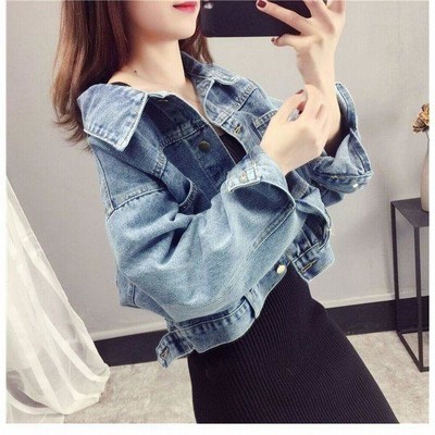 国内正規品 searoomlynn DENIMアーチケープ - その他