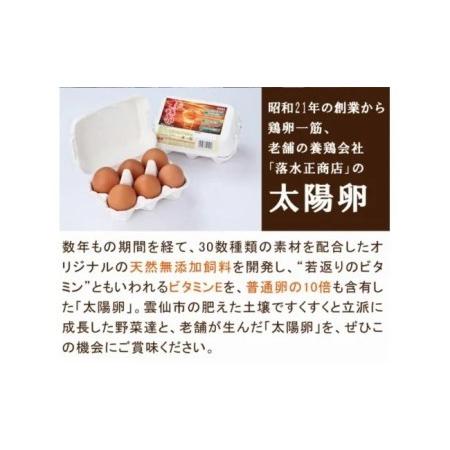 ふるさと納税 旬の野菜・フルーツセット13品目から15品目の豪華セット 長崎県雲仙市