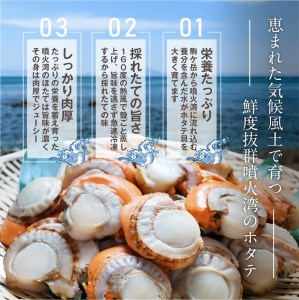 北海道産 蒸しほたて1.6kg（冷凍） OSMM002