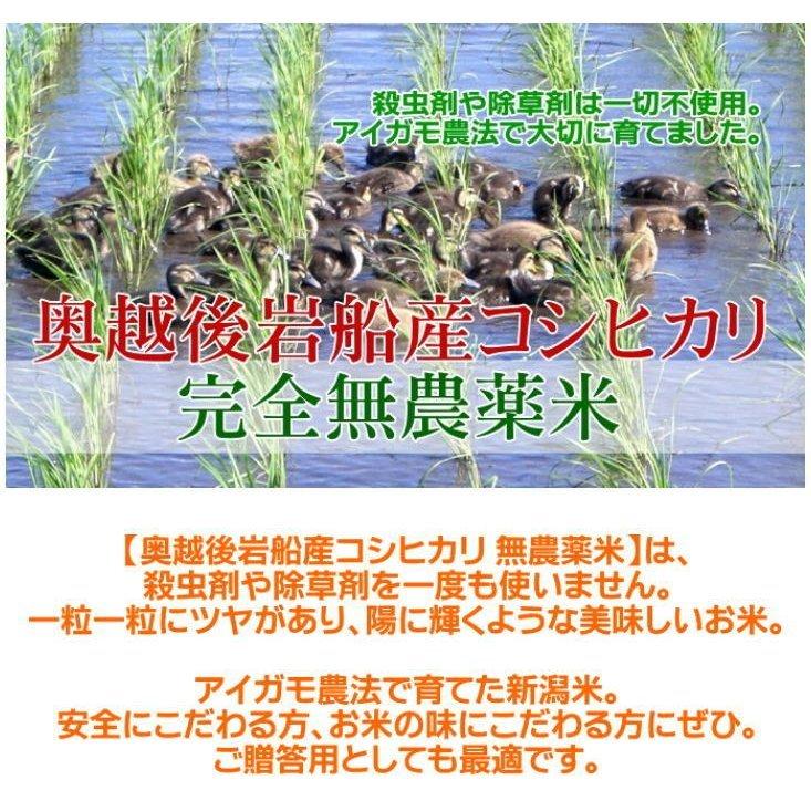 米 2kg 希少米コシヒカリ 無洗米   農薬不使用 合鴨農法 お米 新潟 岩船産 令和5年産 新米   人気 おいしい 新潟米 こしひかり 送料無料