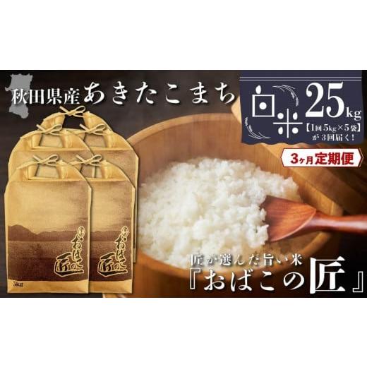 ふるさと納税 秋田県 大仙市 秋田県産おばこの匠あきたこまち　25kg （5kg×5袋）白米