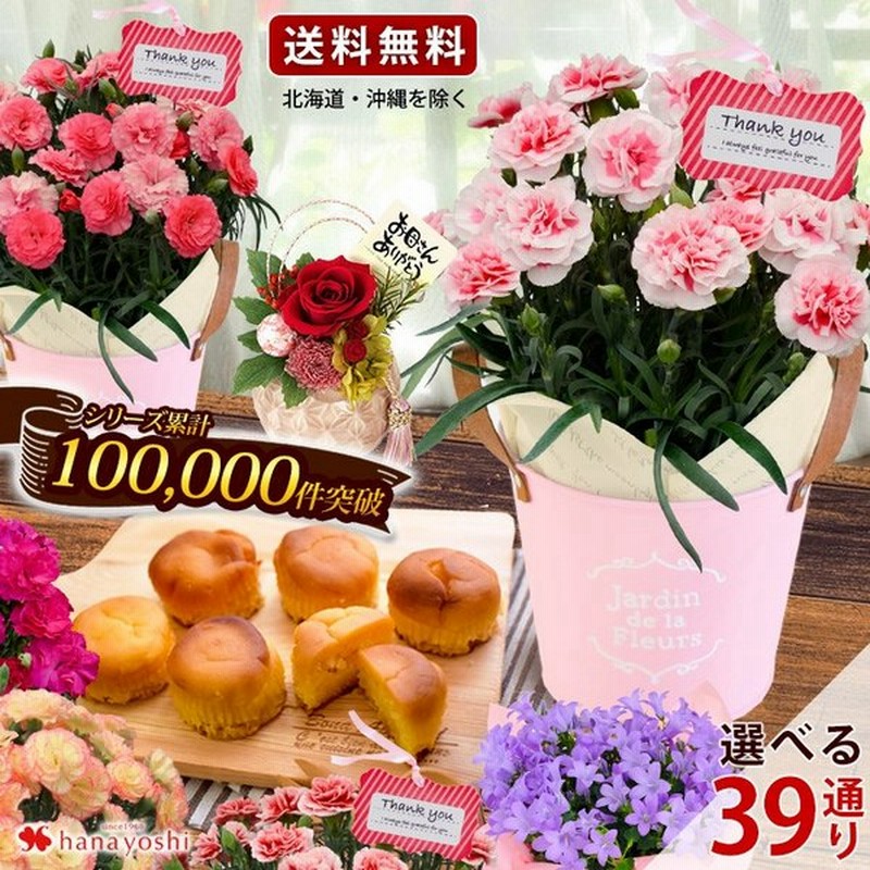 母の日 プレゼント 花 ギフト 39通り お花とスイーツのセット カーネーション 鉢植え 花鉢 プリザーブドフラワー 通販 Lineポイント最大0 5 Get Lineショッピング