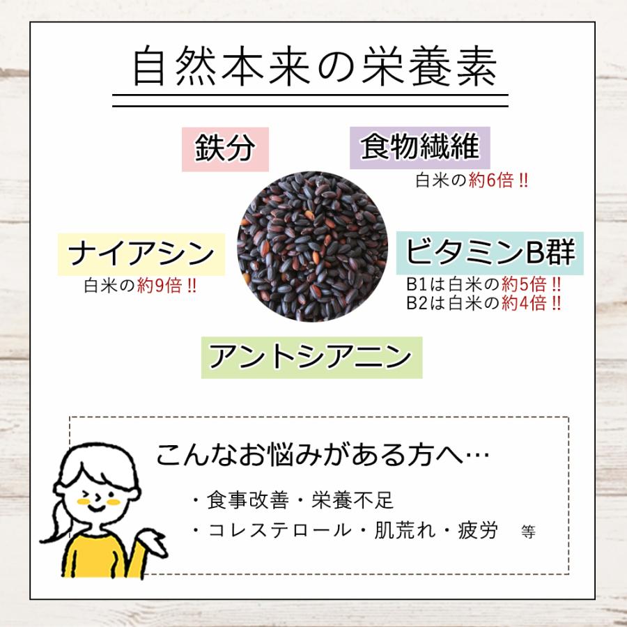 黒米 国産 150g １合 お試し米 メール便 送料無料 ポイント消化 500円 ポッキリ 新潟県産 古代米 (KUROMAI-500)