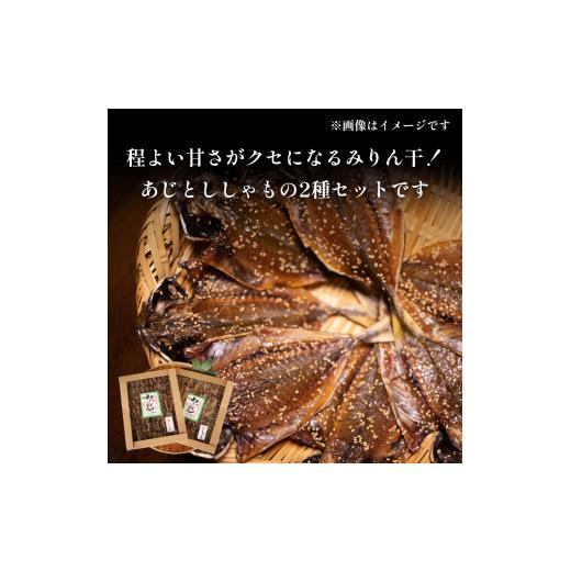 ふるさと納税 富山県 氷見市 氷見堀与　氷見名産みりん干箱入２種　富山県 氷見市 味醂干し 箱入り 干物 あじ シシャモ ししゃも