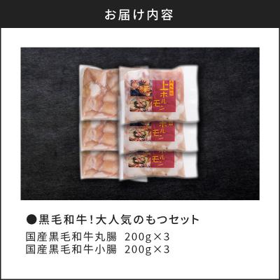 ふるさと納税 鹿児島市 黒毛和牛!大人気のもつセット